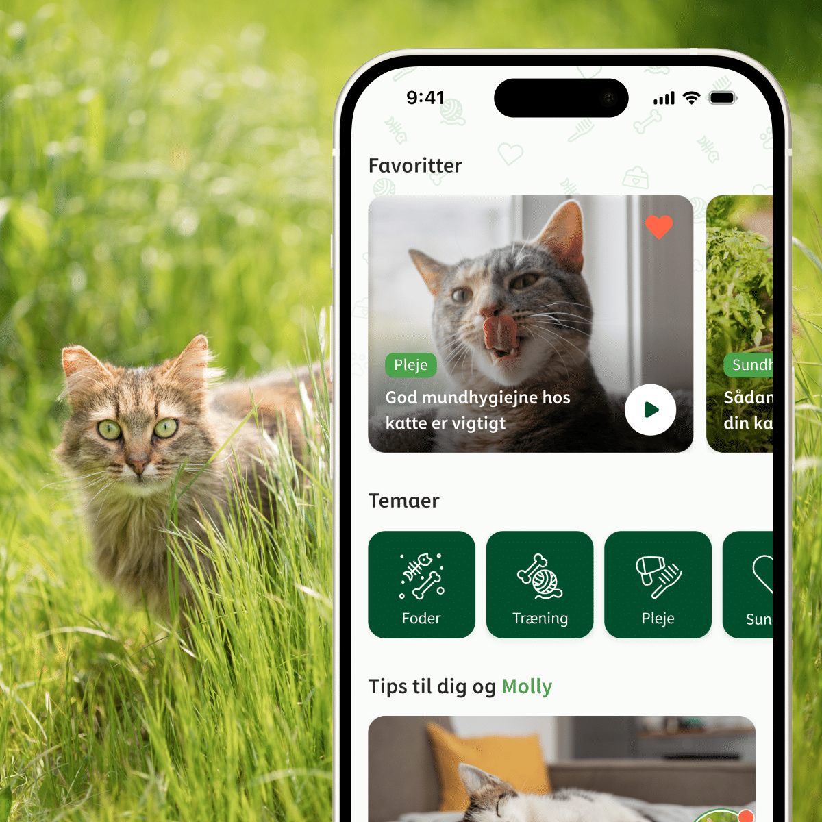 Loyalty-boosting app for selling world-famous pet food